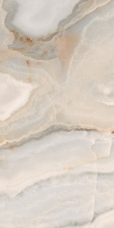 Reves Noisette Matte 24 x 48